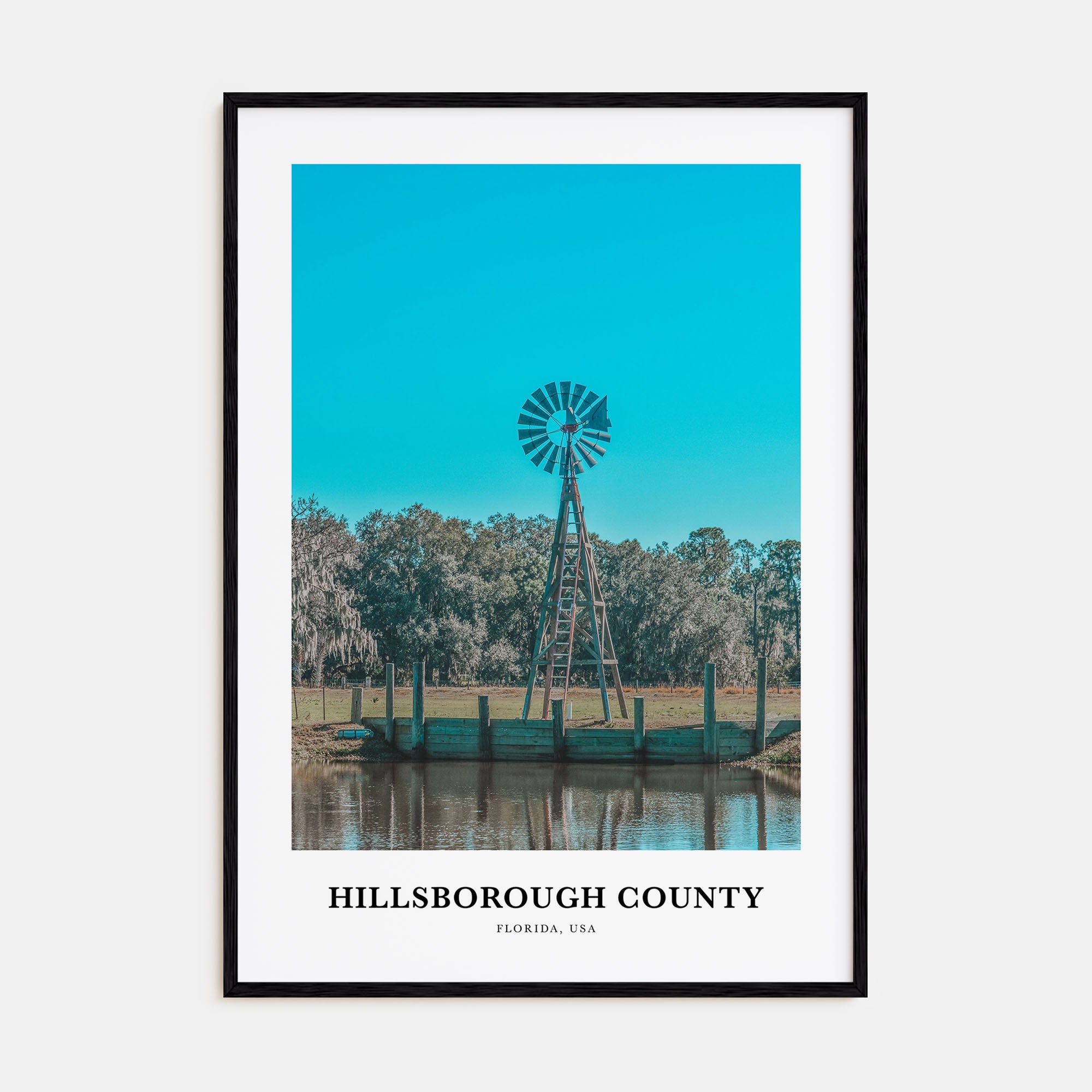 Hillsborough County Portrait Color Poster