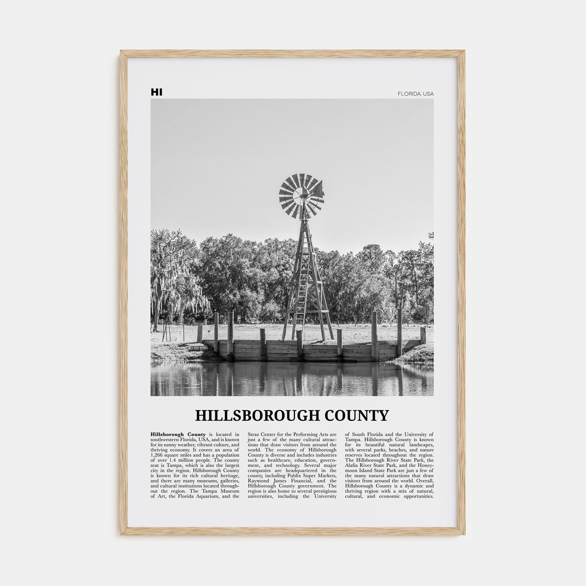 Hillsborough County Travel B&W Poster