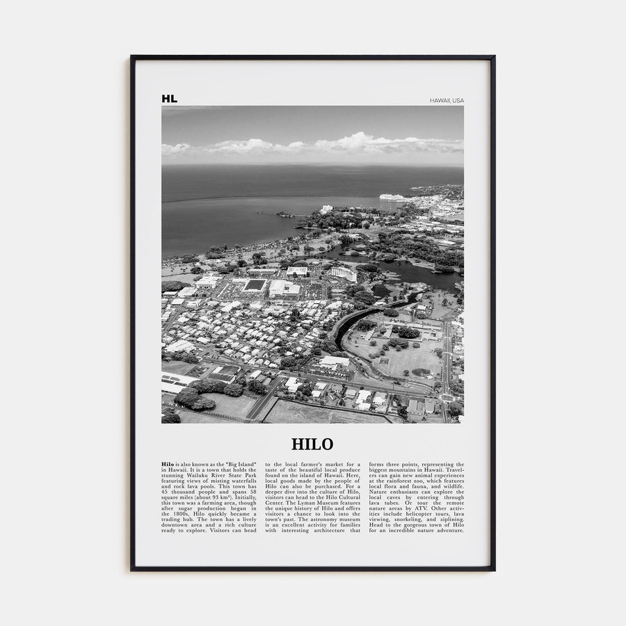 Hilo Travel B&W Poster