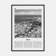 Hilo Travel B&W Poster