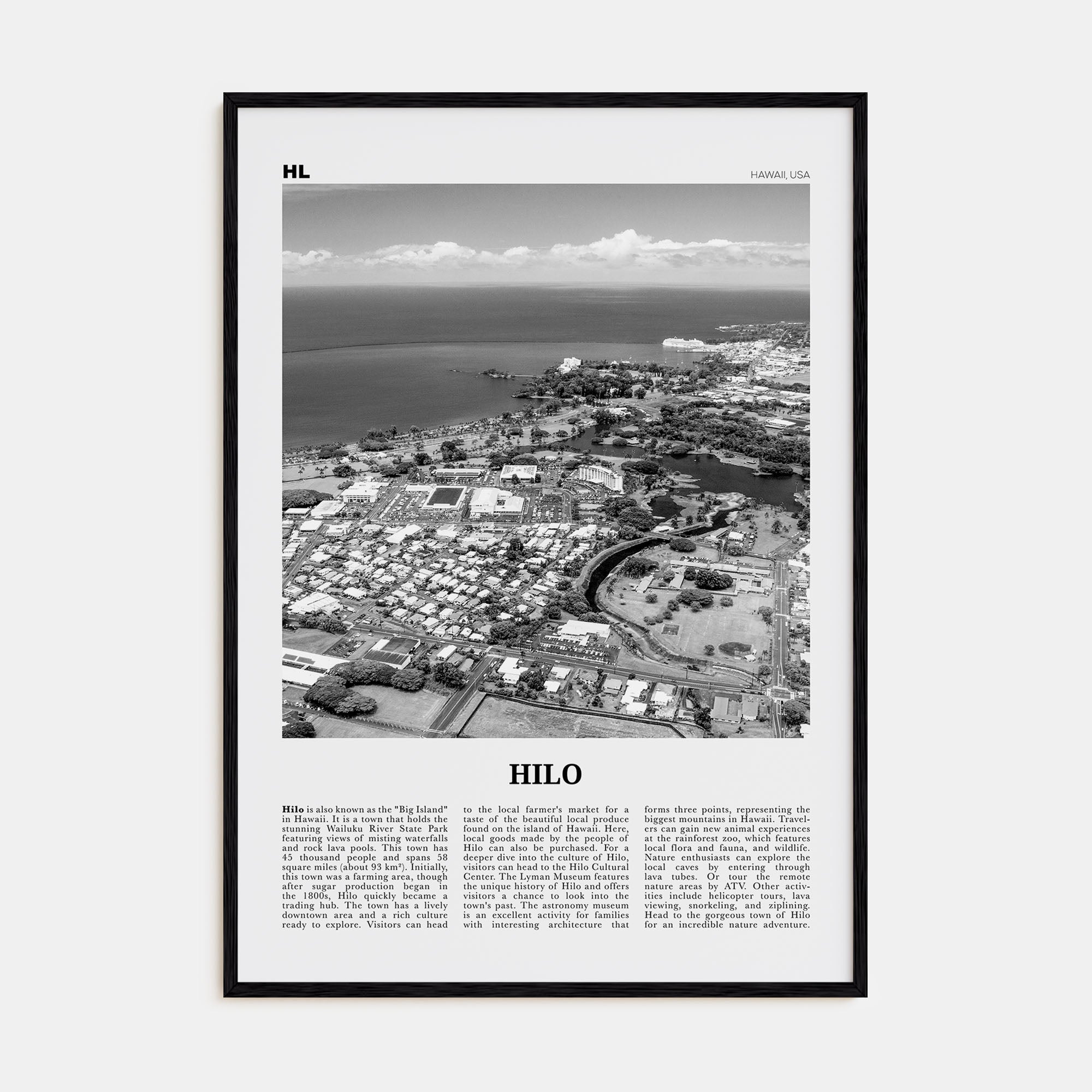 Hilo Travel B&W Poster