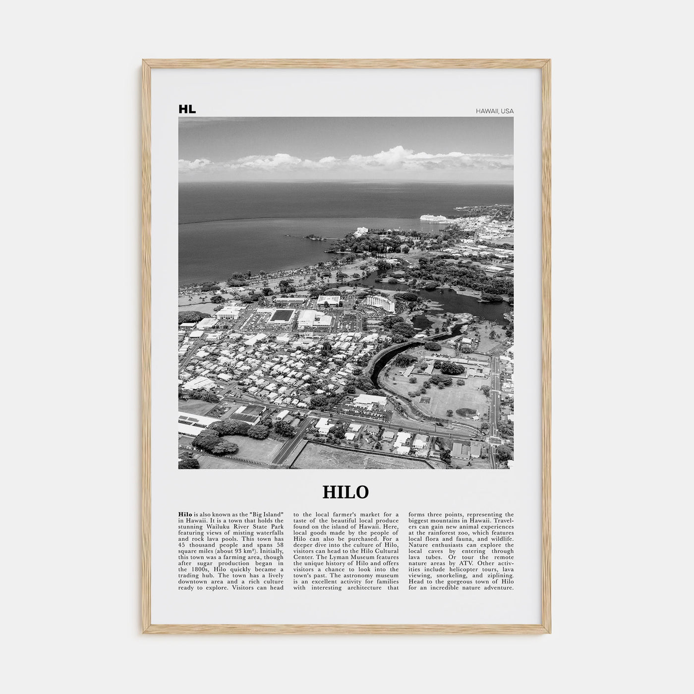 Hilo Travel B&W Poster