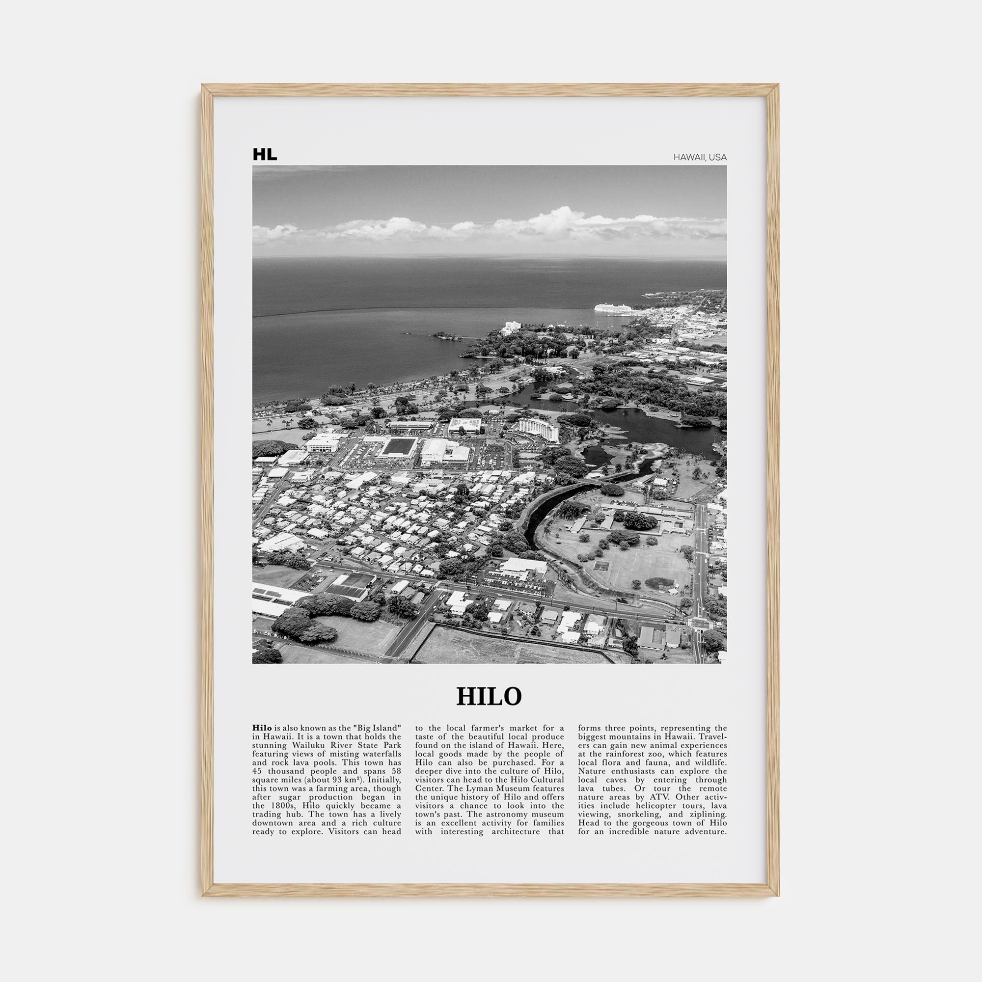 Hilo Travel B&W Poster