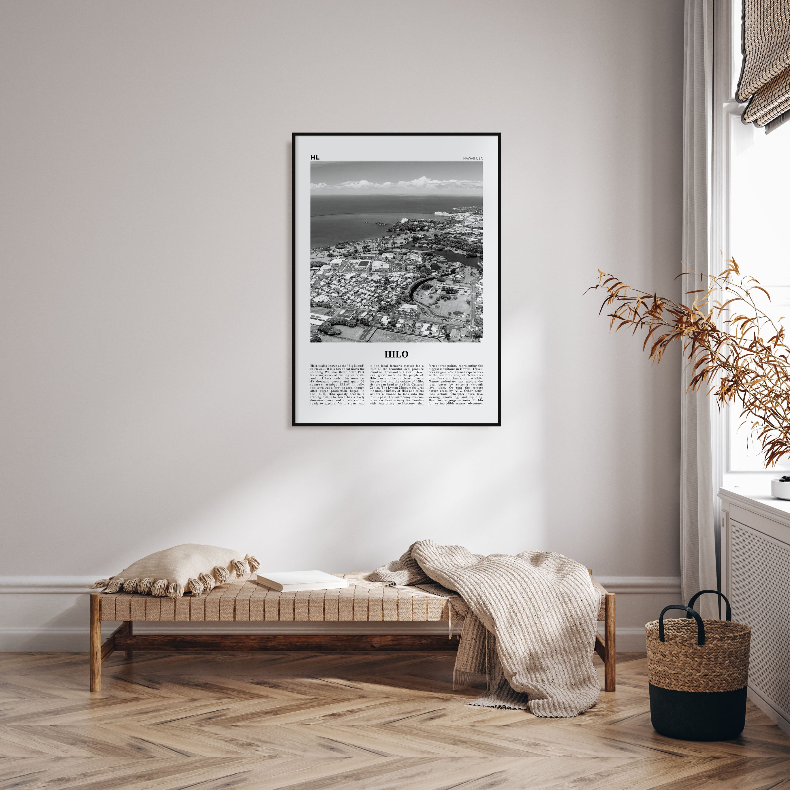 Hilo Travel B&W Poster