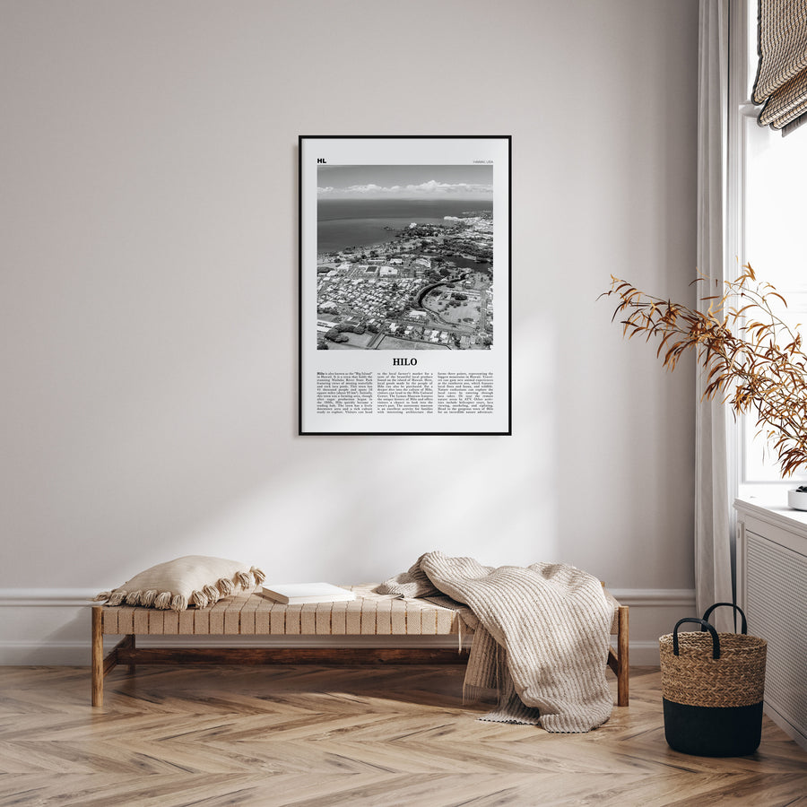 Hilo Travel B&W Poster