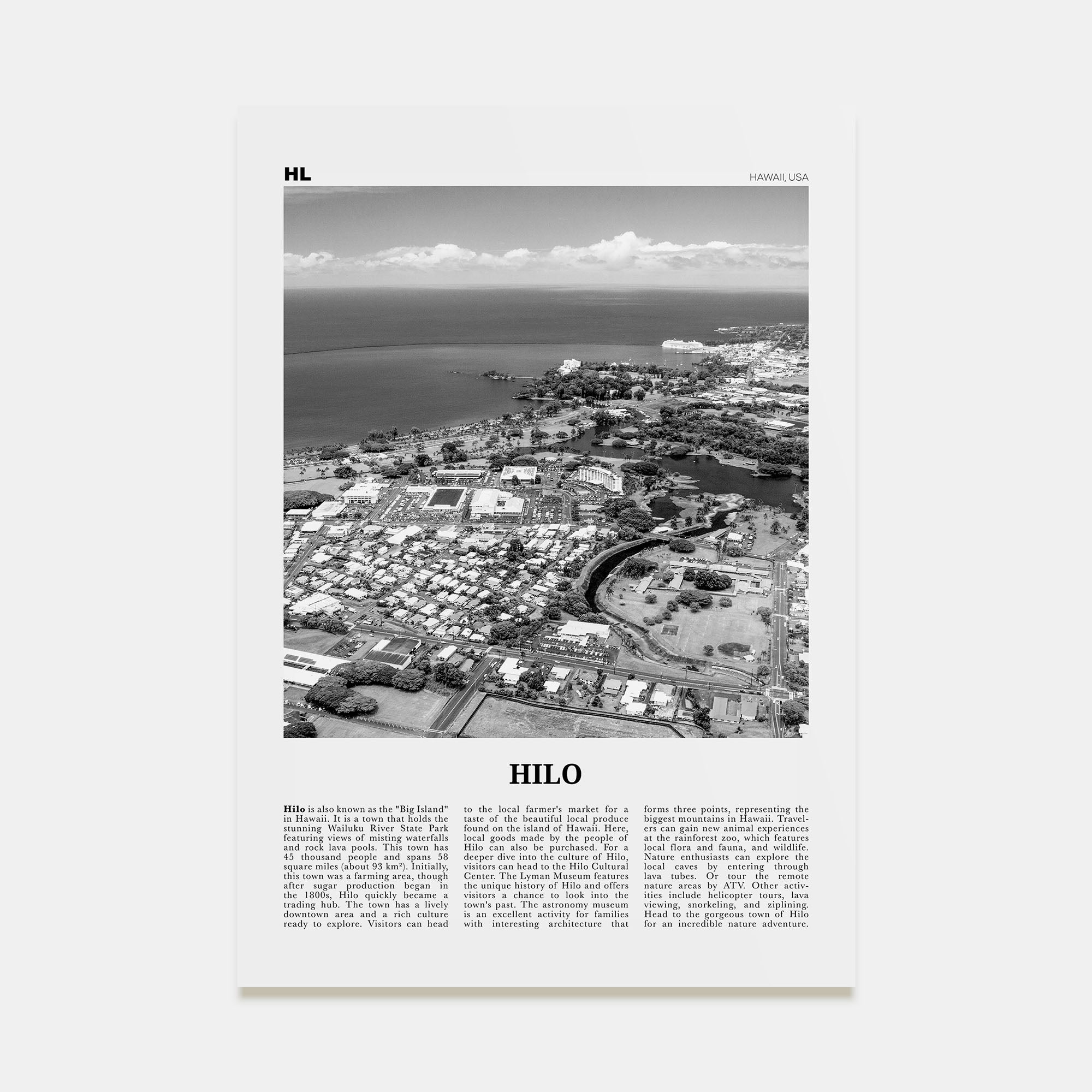 Hilo Travel B&W Poster