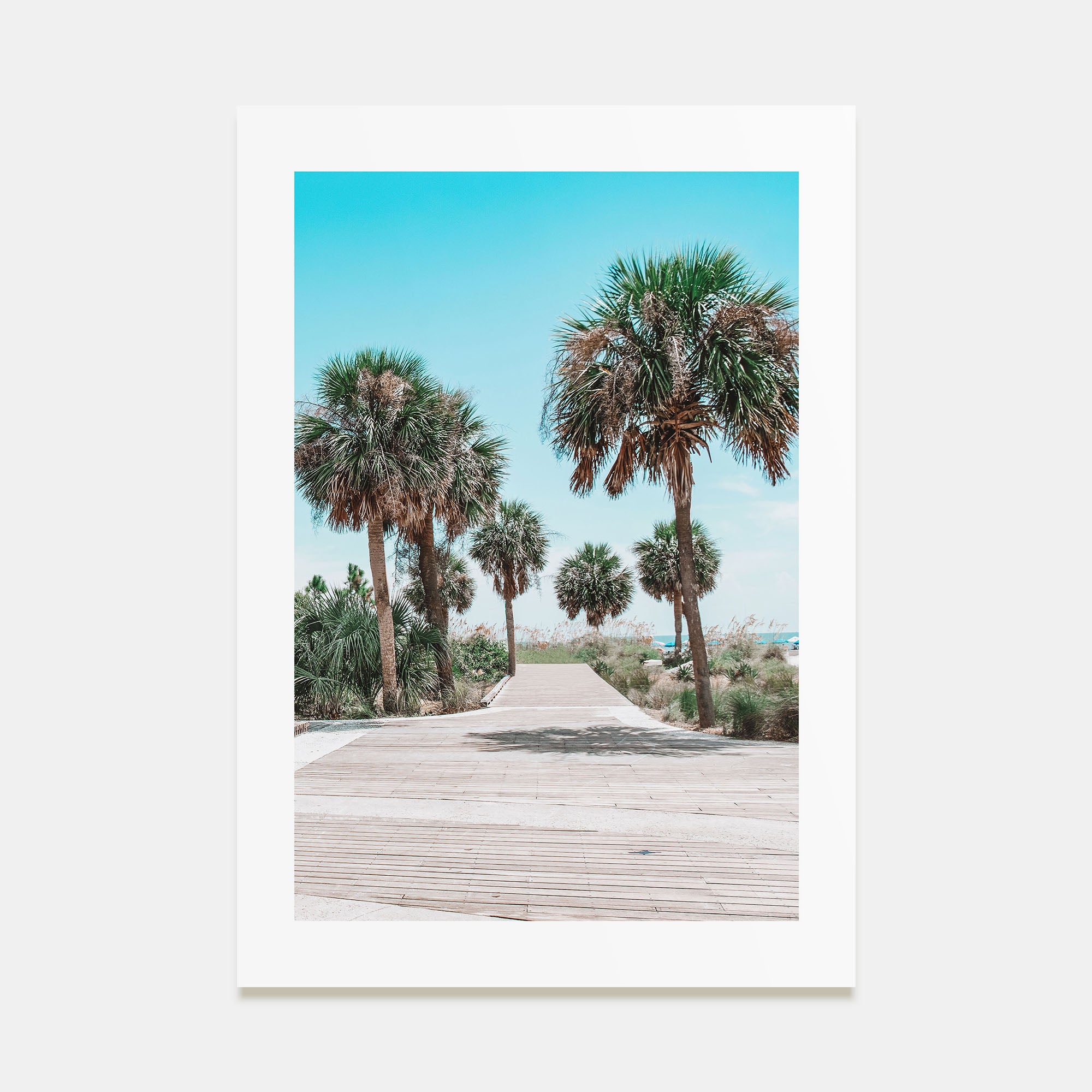 Hilton Head Island Photo Color Poster