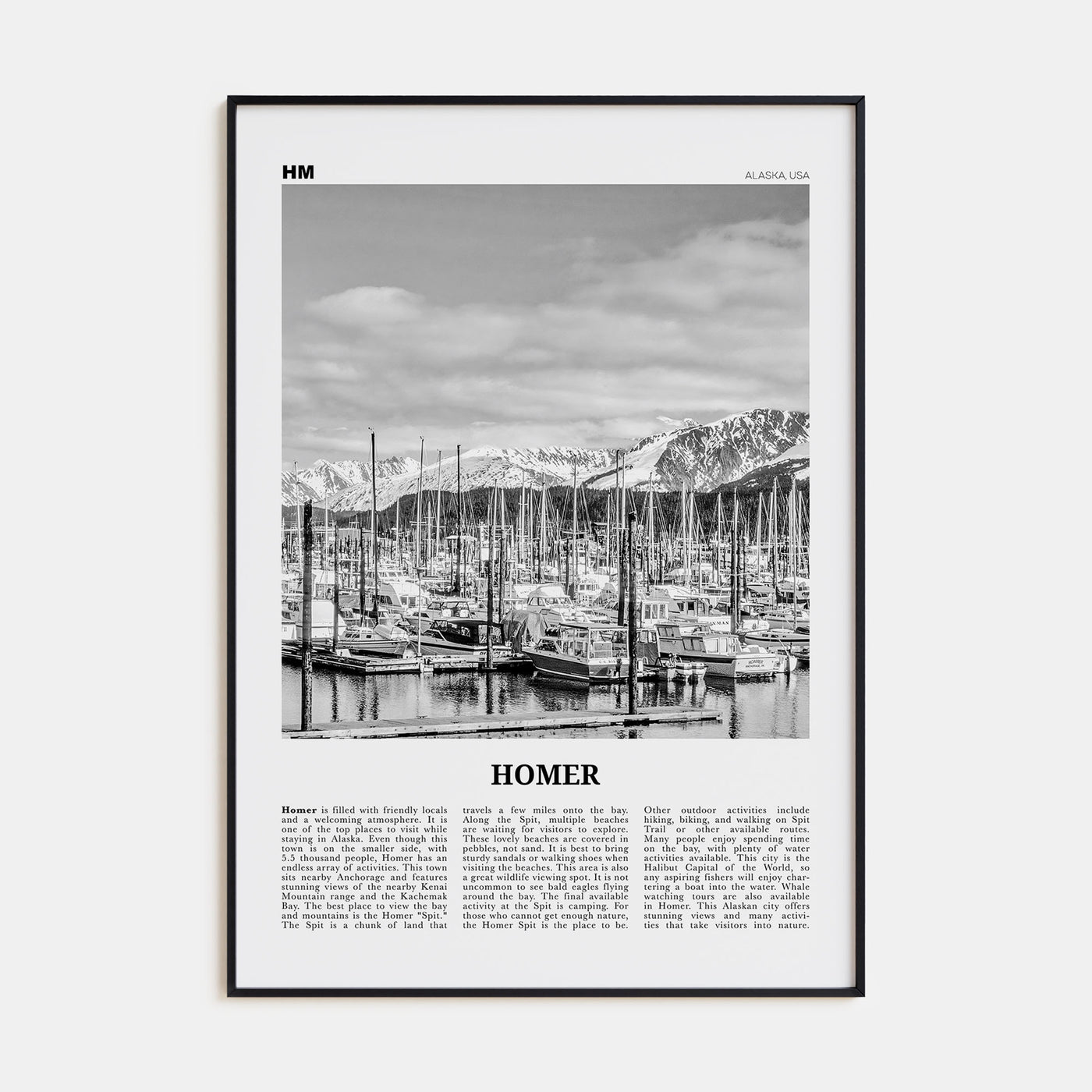 Homer Travel B&W Poster