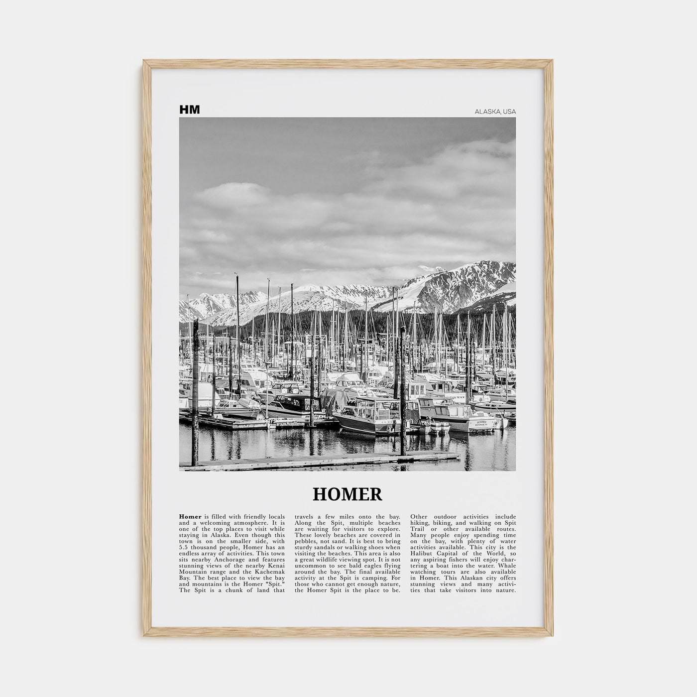 Homer Travel B&W Poster