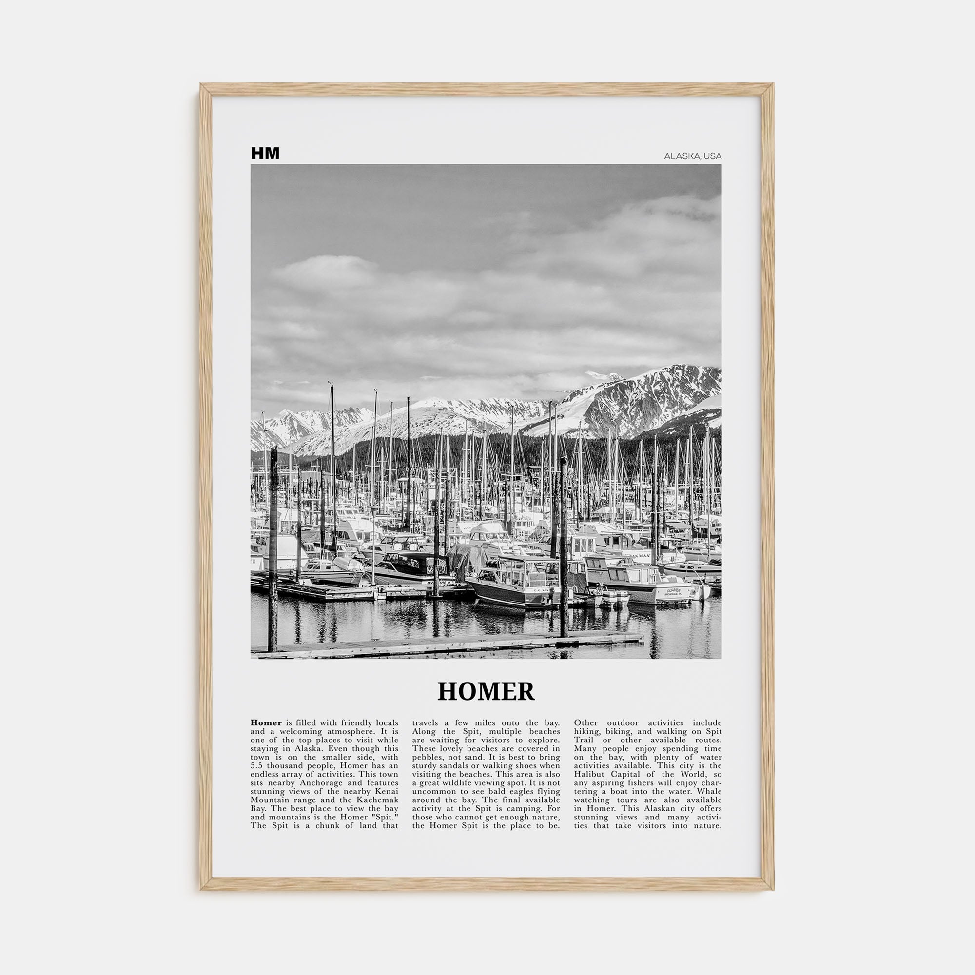 Homer Travel B&W Poster