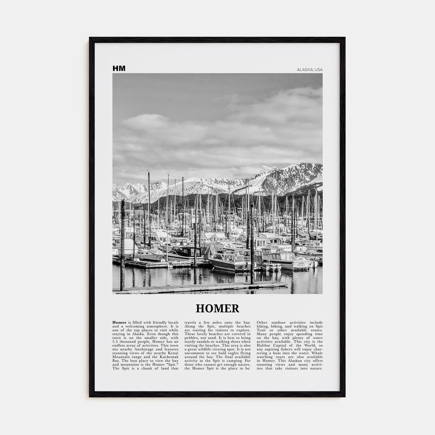 Homer Travel B&W Poster