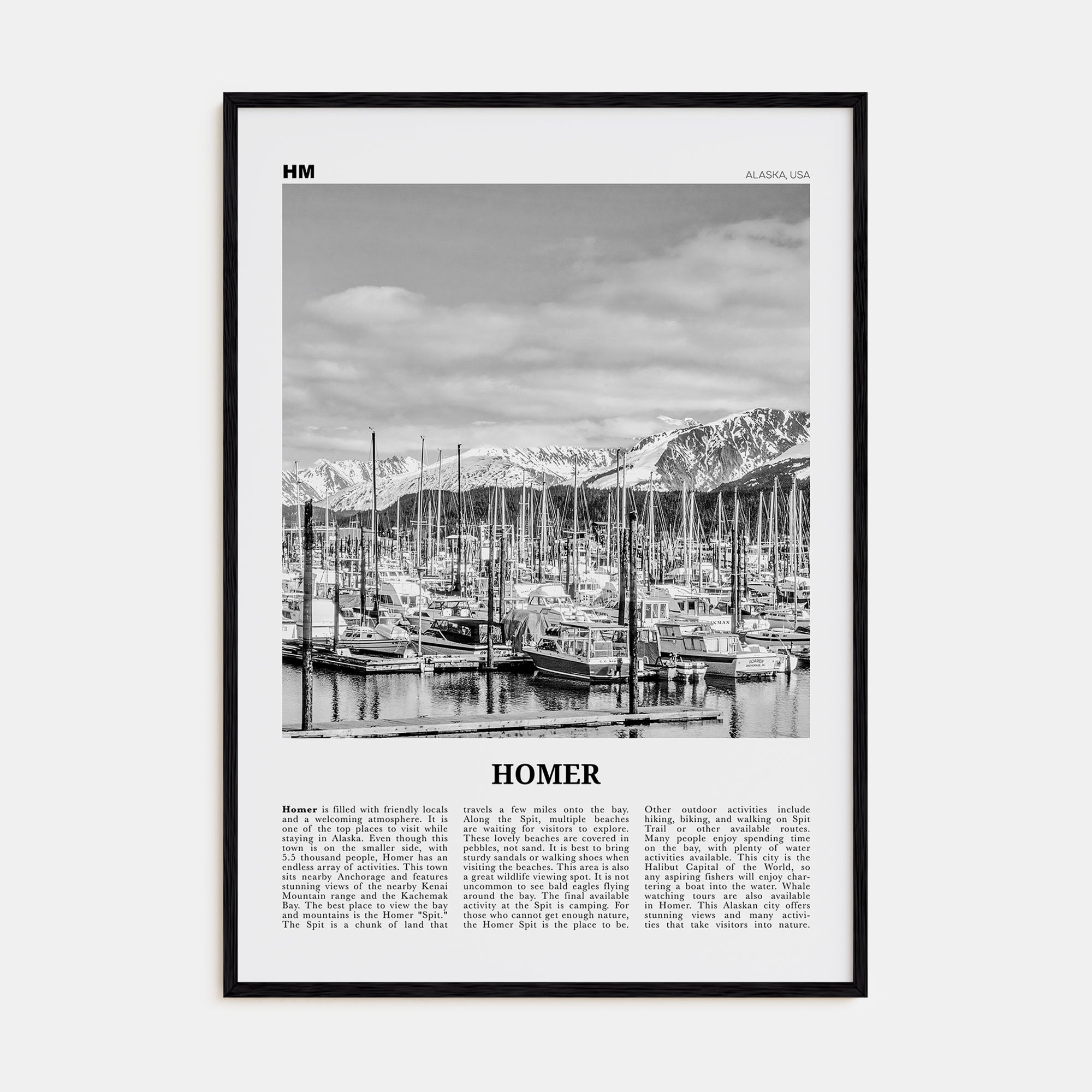 Homer Travel B&W Poster