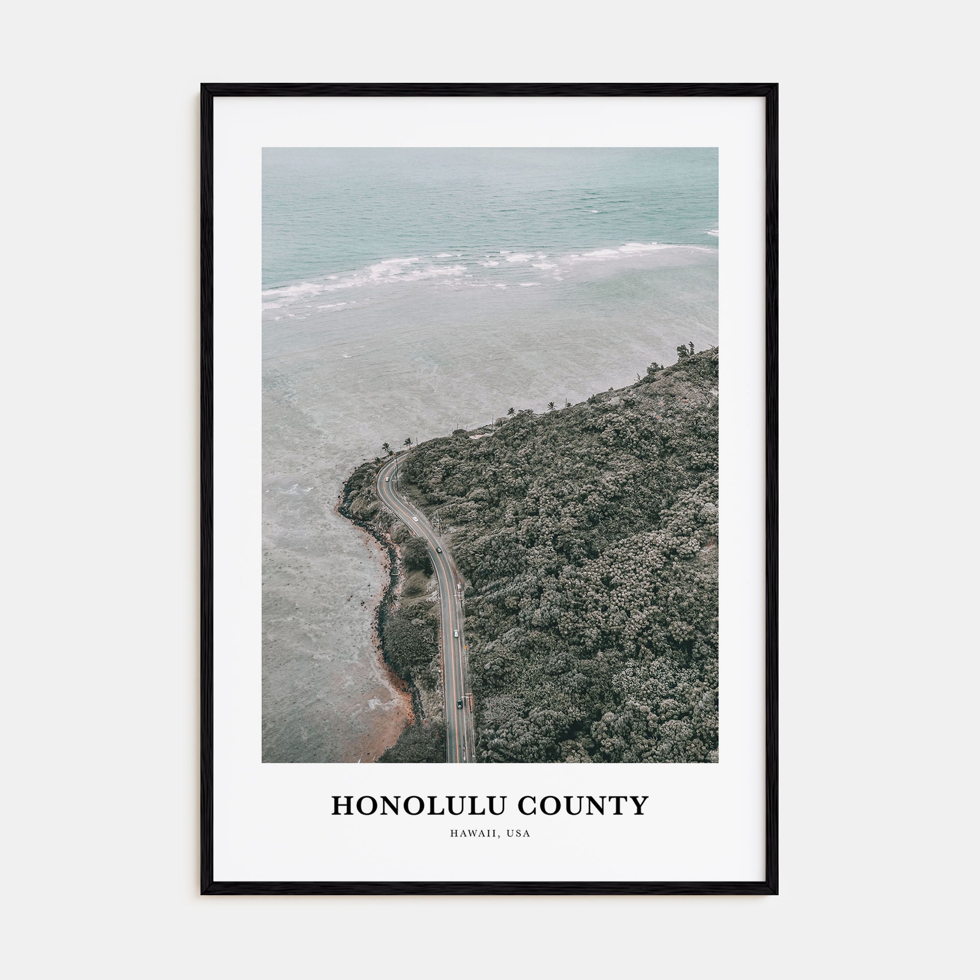 Honolulu County Portrait Color Poster