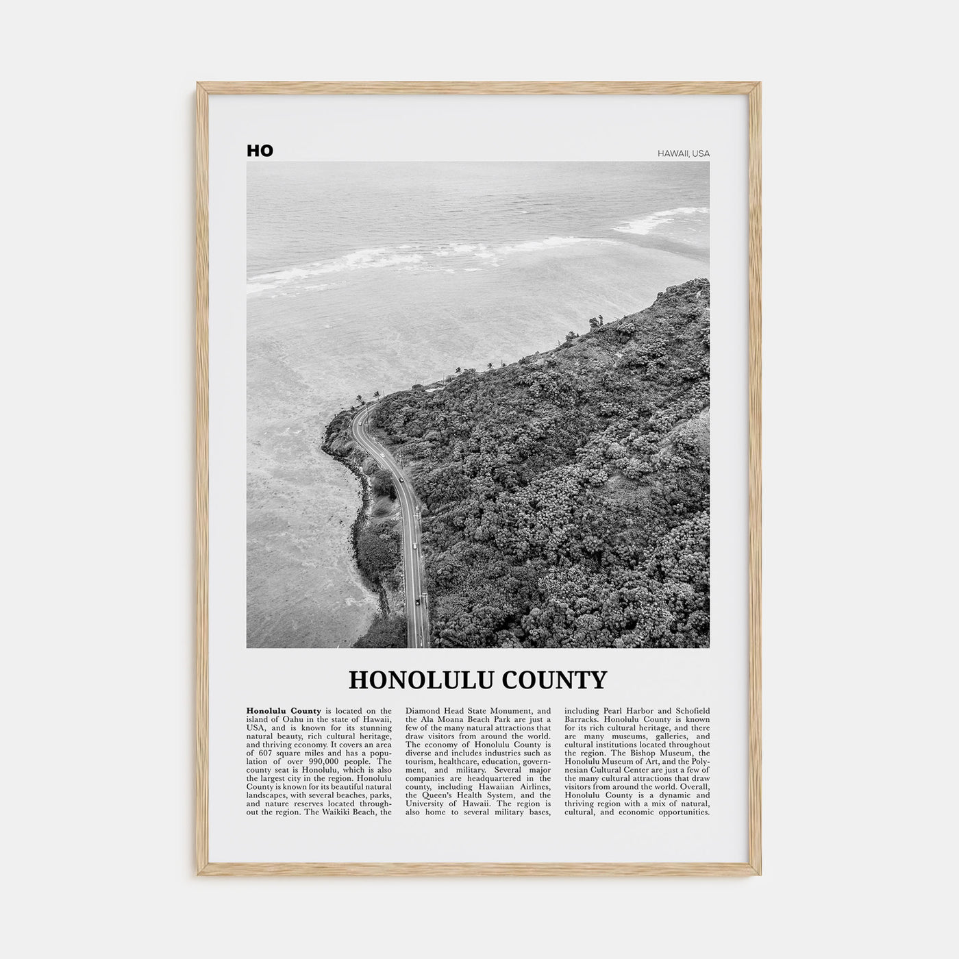 Honolulu County Travel B&W Poster