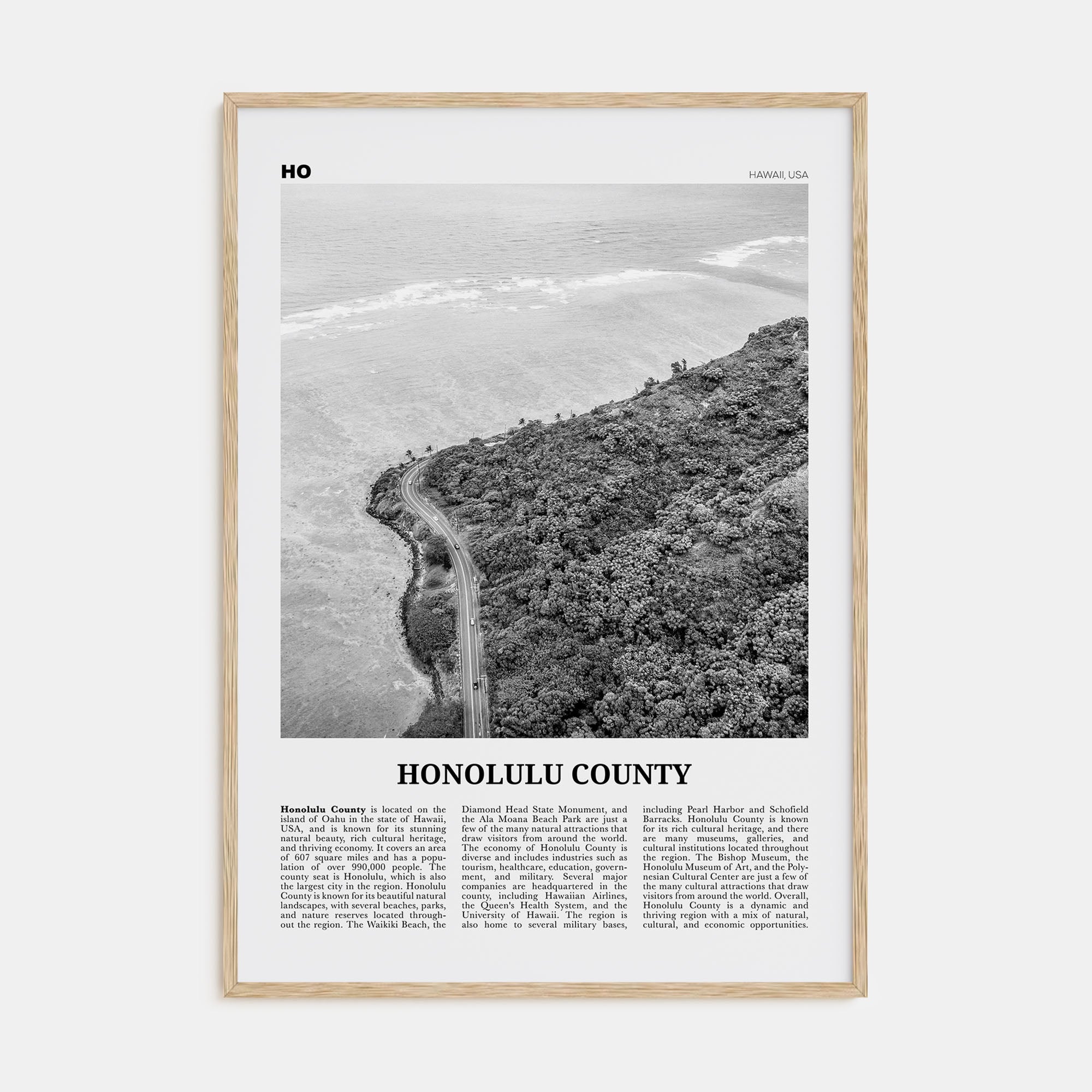 Honolulu County Travel B&W Poster