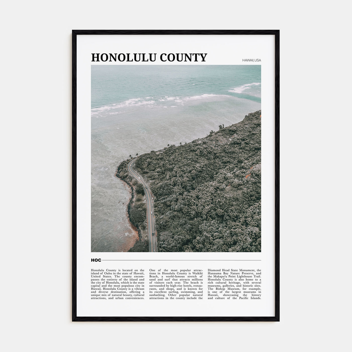 Honolulu County Travel Color Poster
