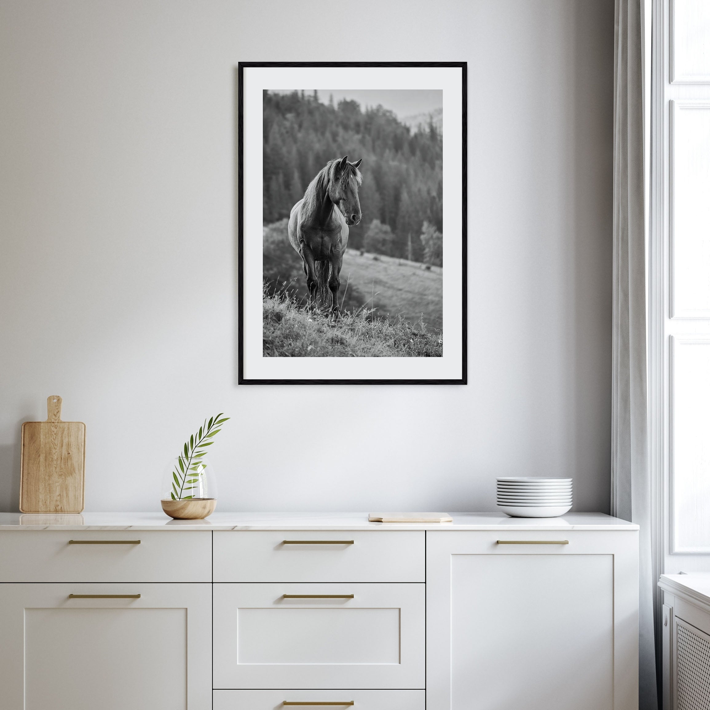 Horse Photo B&W No 1 Poster