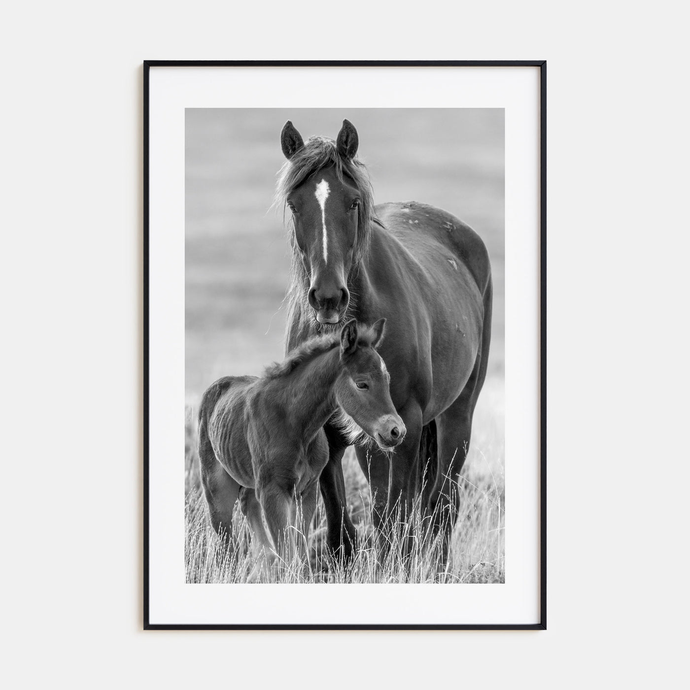 Horse Photo B&W No 2 Poster