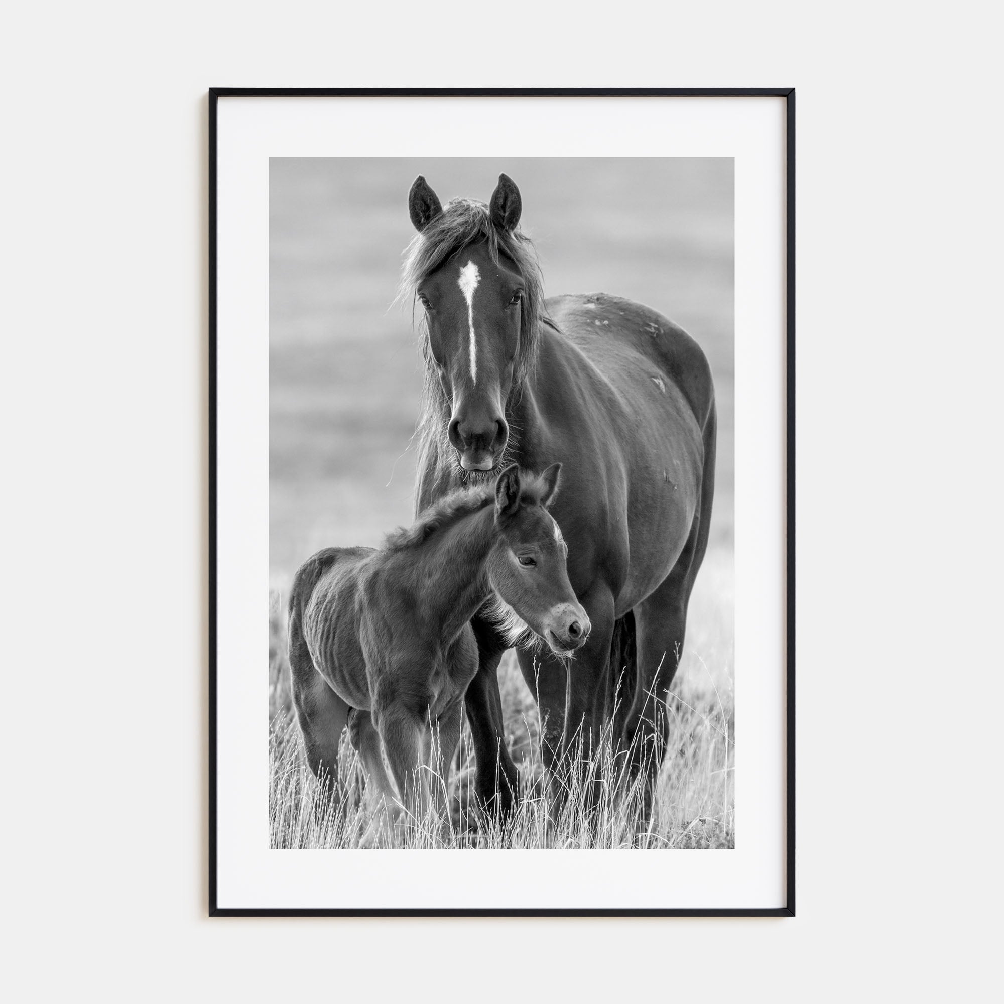 Horse Photo B&W No 2 Poster