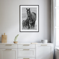 Horse Photo B&W No 2 Poster