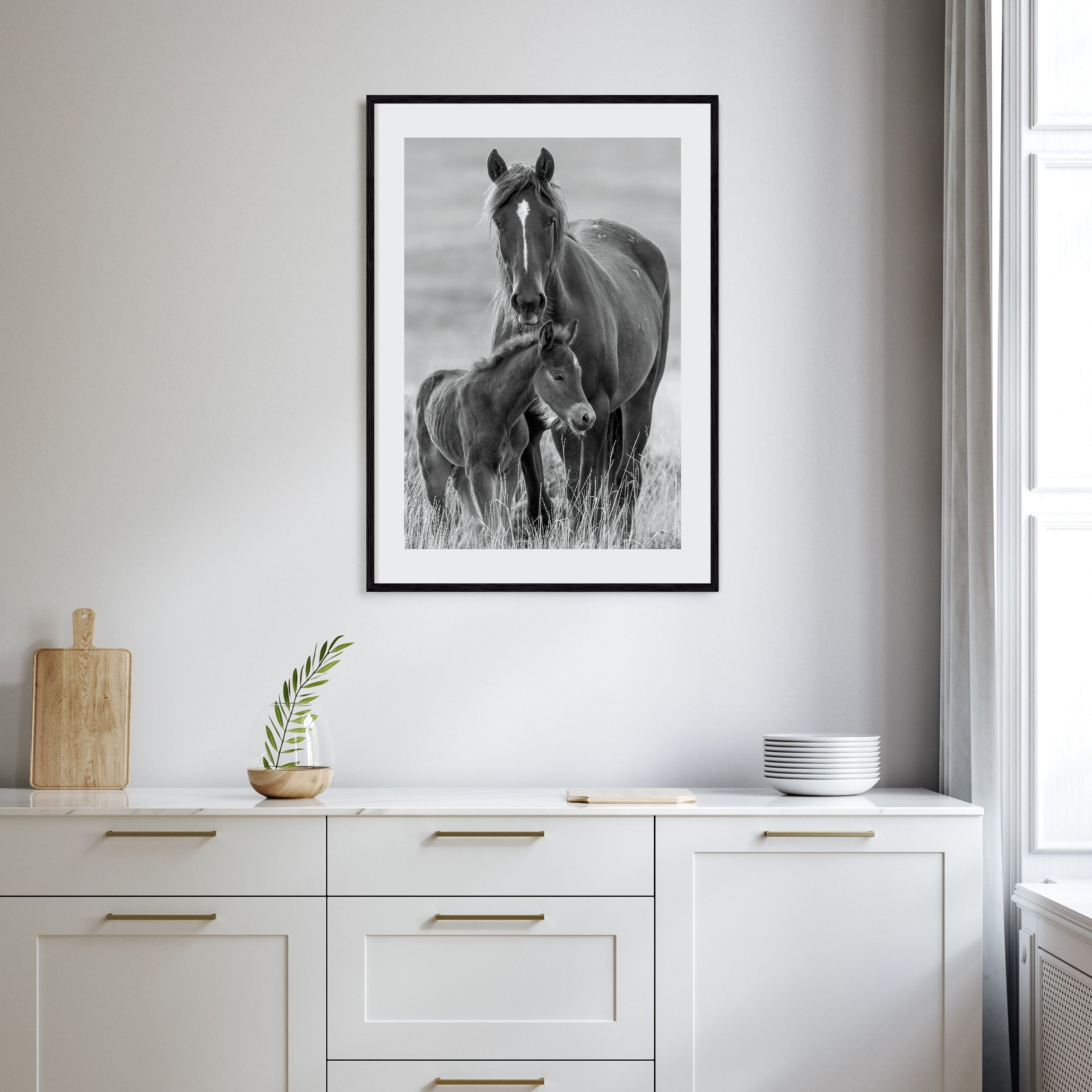 Horse Photo B&W No 2 Poster