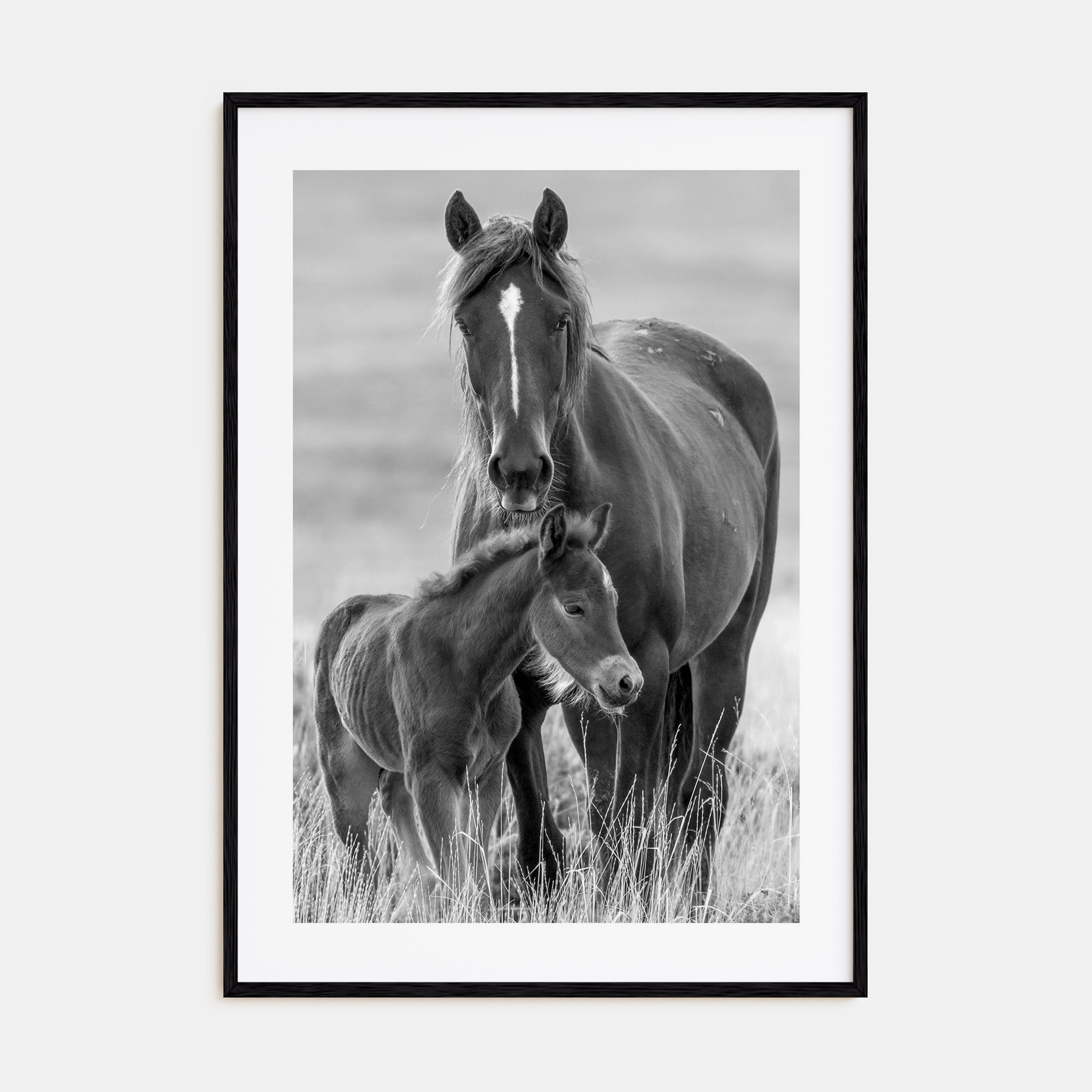 Horse Photo B&W No 2 Poster