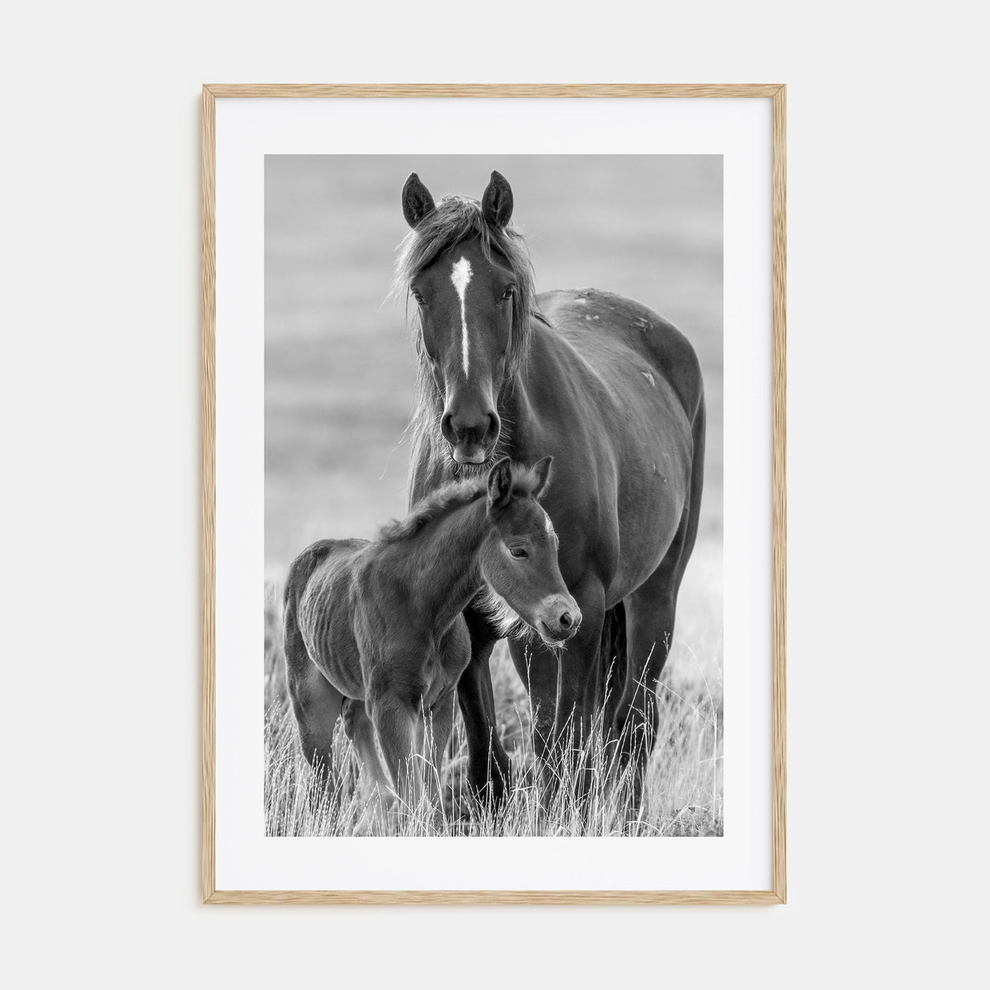 Horse Photo B&W No 2 Poster