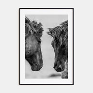 Horse Photo B&W No 3 Poster