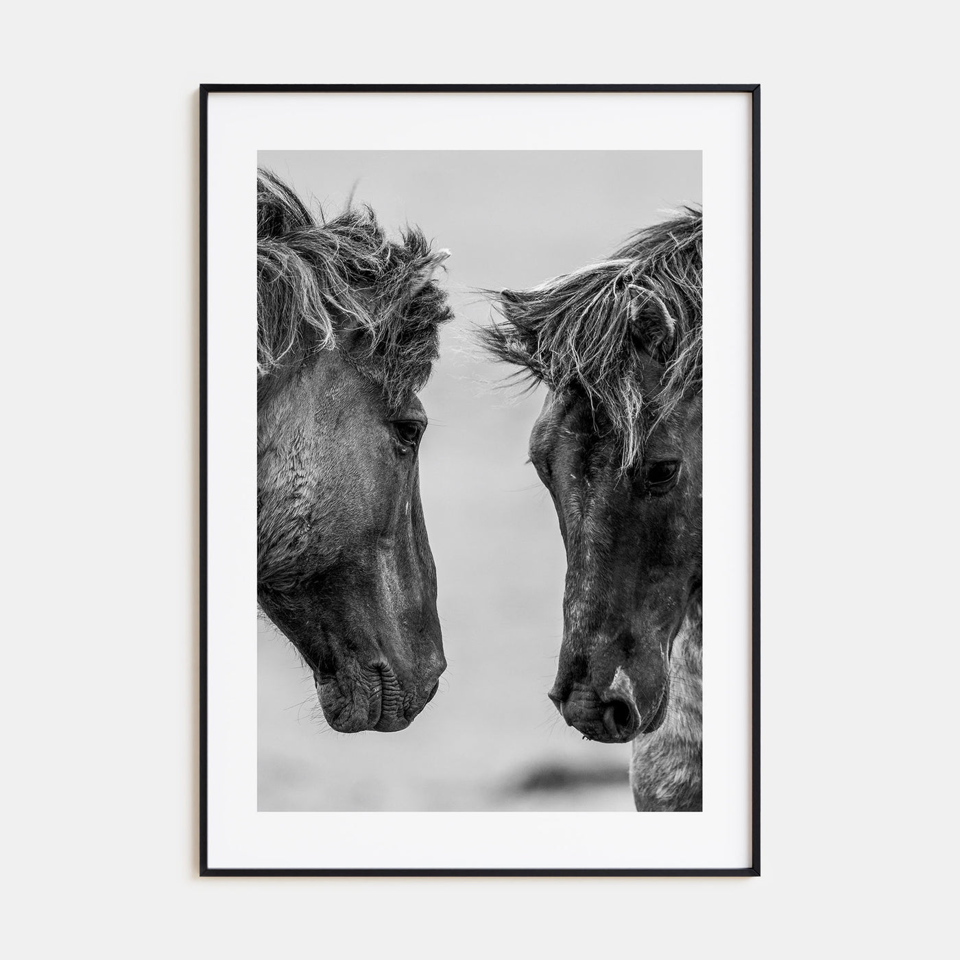 Horse Photo B&W No 3 Poster