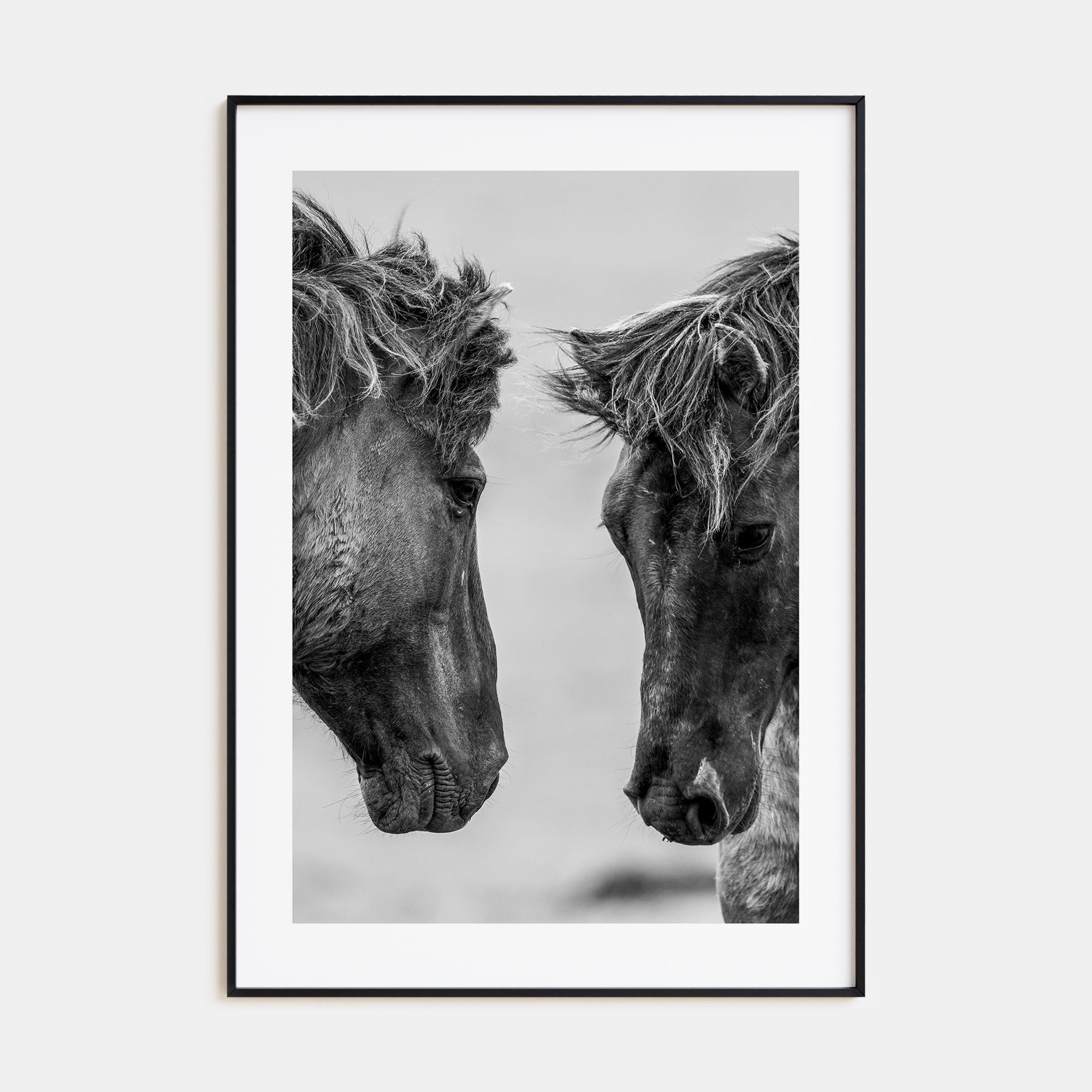 Horse Photo B&W No 3 Poster