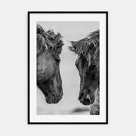 Horse Photo B&W No 3 Poster
