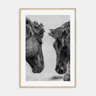 Horse Photo B&W No 3 Poster