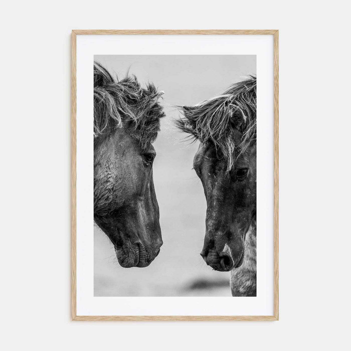 Horse Photo B&W No 3 Poster