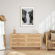 Horse Photo B&W No 3 Poster