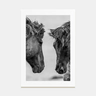 Horse Photo B&W No 3 Poster