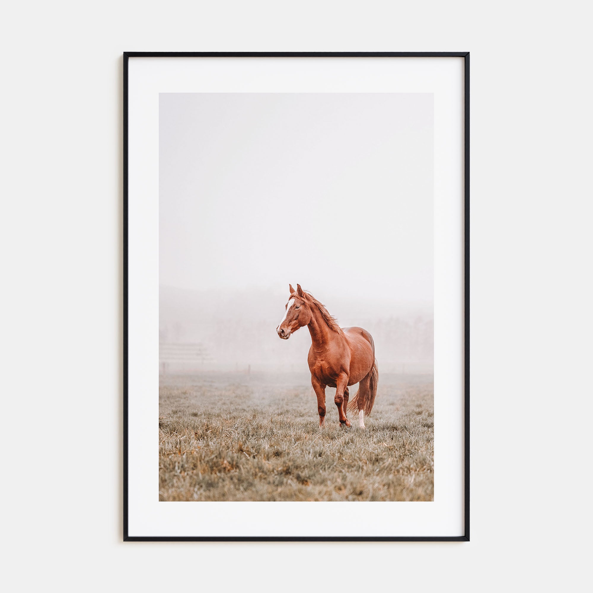 Horse Photo Color No 1 Poster