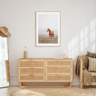 Horse Photo Color No 1 Poster