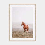 Horse Photo Color No 1 Poster
