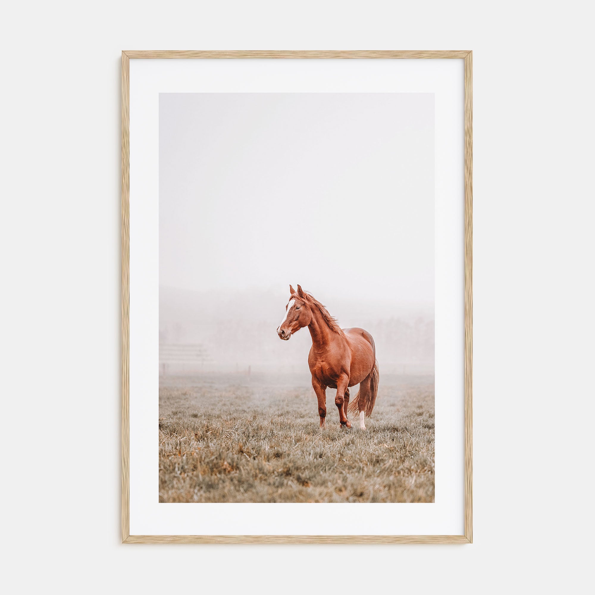 Horse Photo Color No 1 Poster