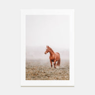 Horse Photo Color No 1 Poster