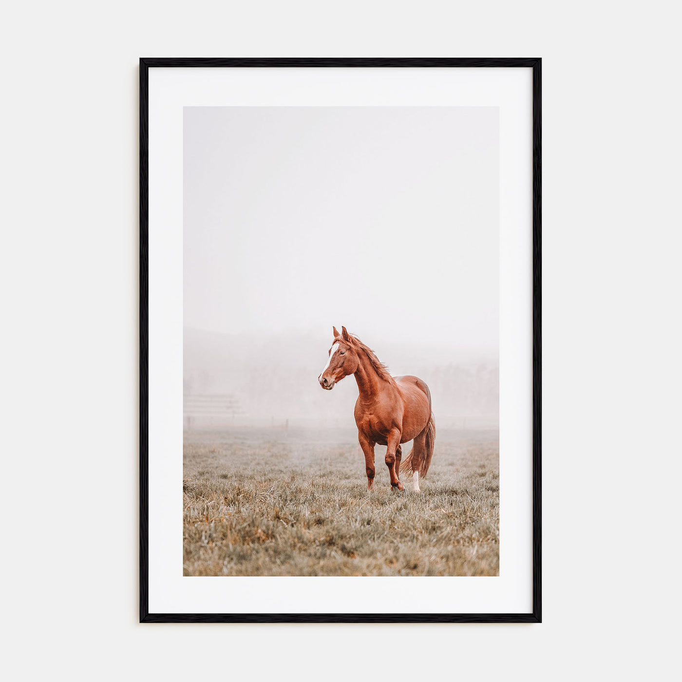 Horse Photo Color No 1 Poster