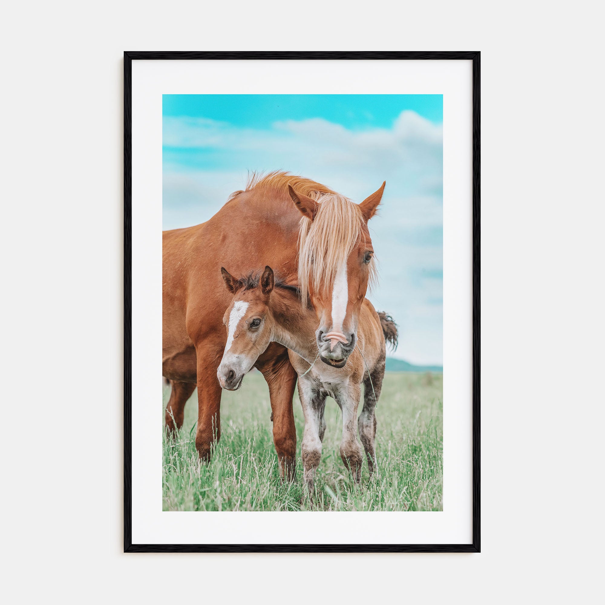 Horse Photo Color No 2 Poster