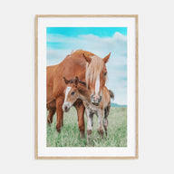 Horse Photo Color No 2 Poster
