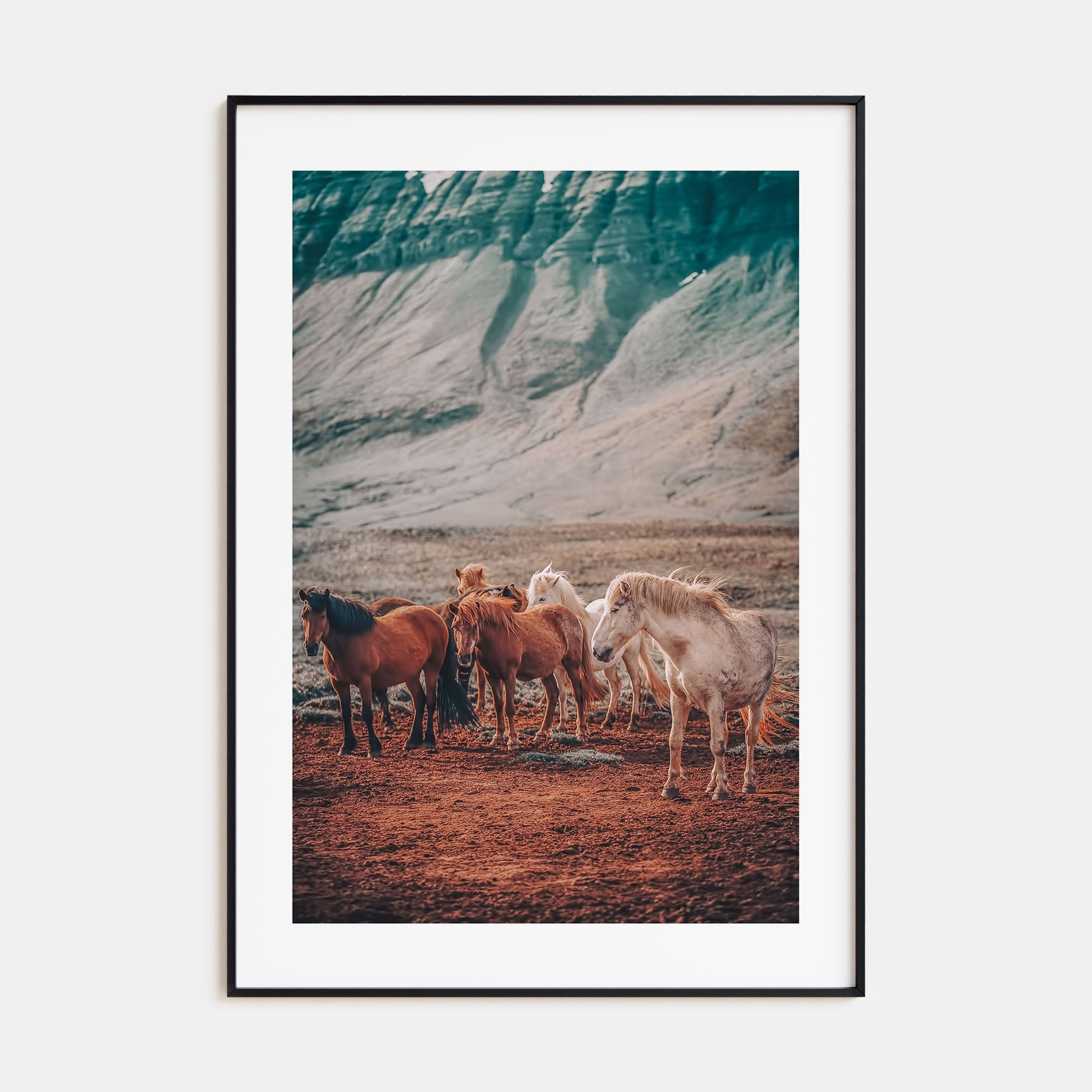 Horse Photo Color No 3 Poster