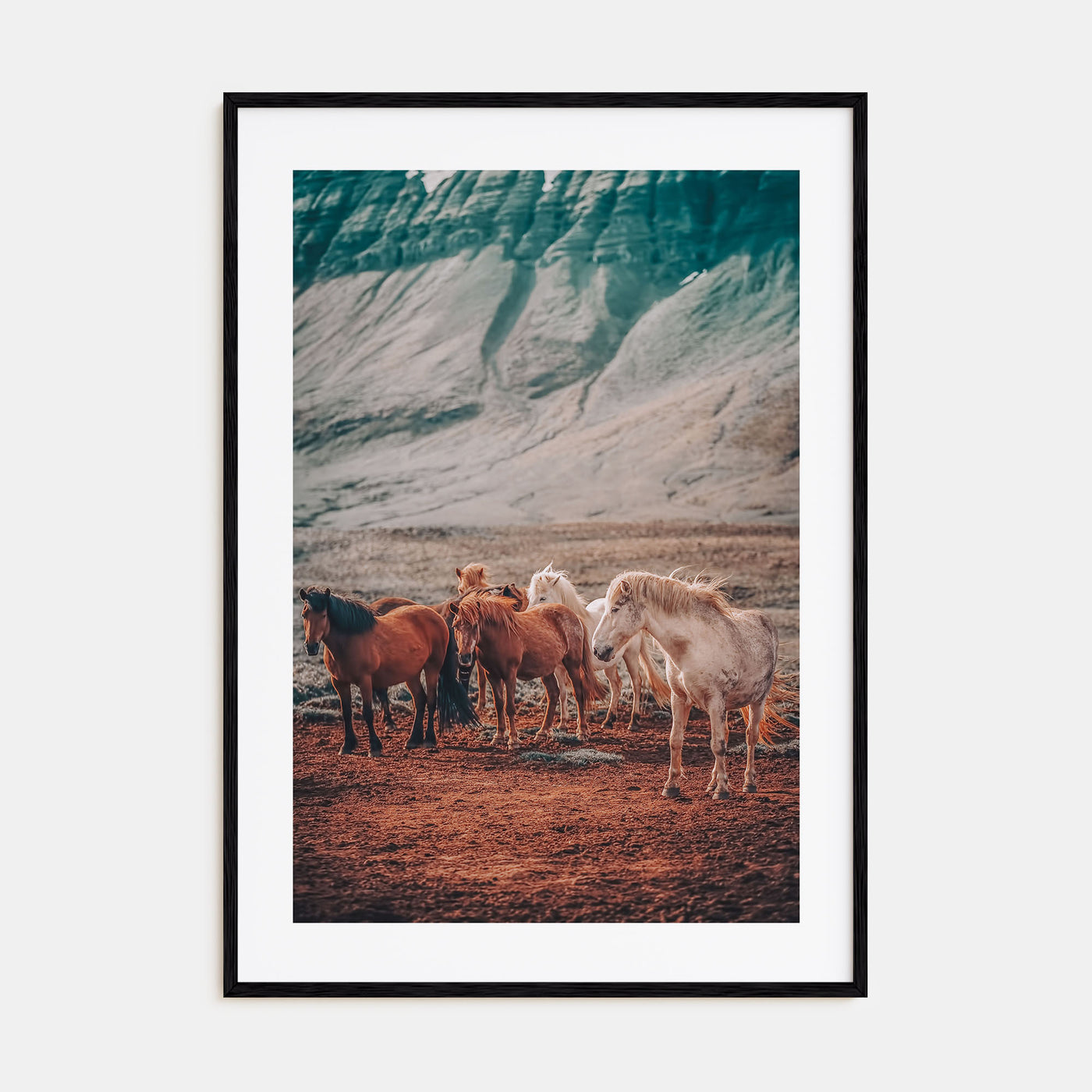 Horse Photo Color No 3 Poster