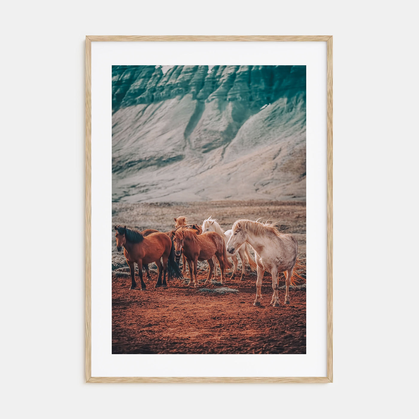 Horse Photo Color No 3 Poster