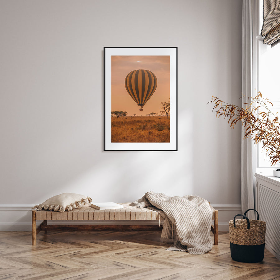Hot Air Balloon Photo Color No 1 Poster