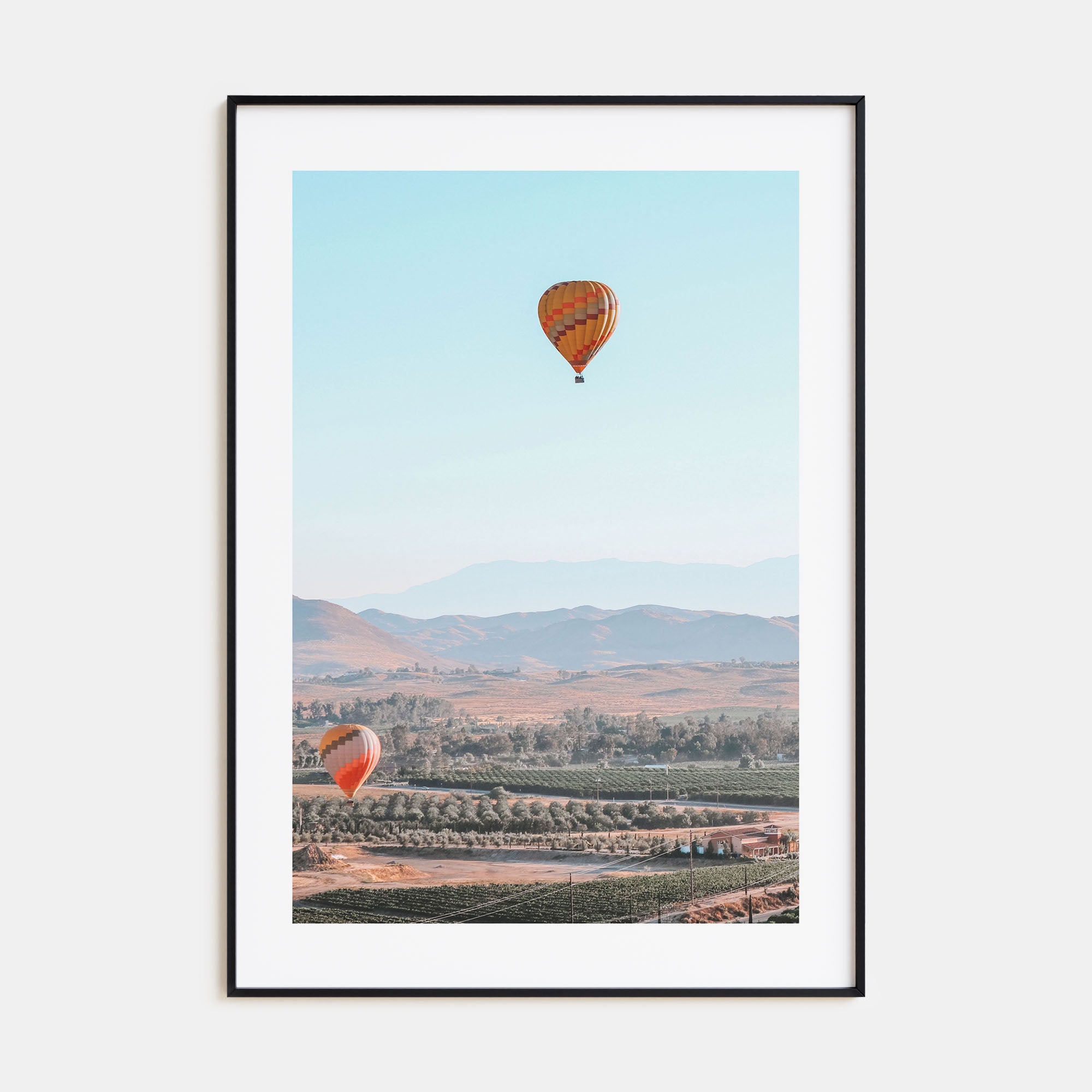Hot Air Balloon Photo Color No 2 Poster