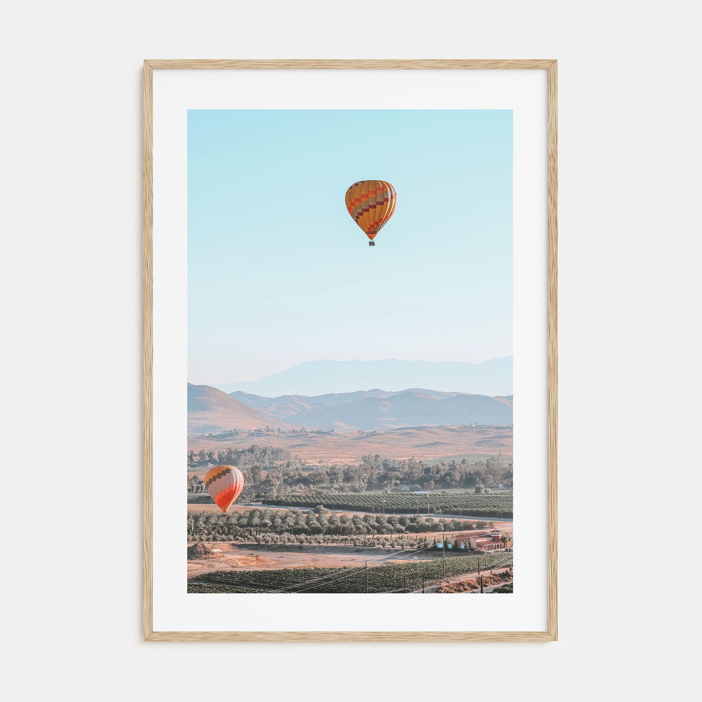 Hot Air Balloon Photo Color No 2 Poster