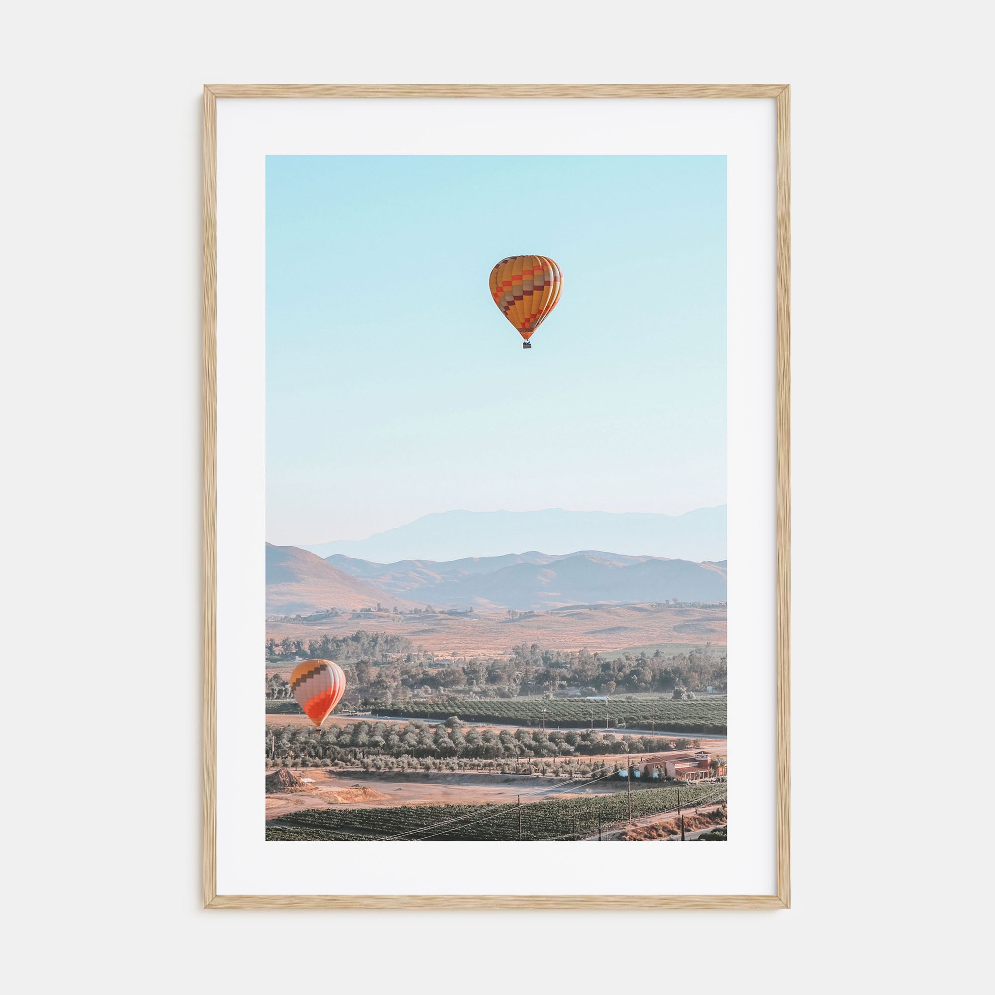 Hot Air Balloon Photo Color No 2 Poster